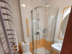 W łazience znajduje się umywalna z lustrem, kabina prysznicowa oraz toaleta.